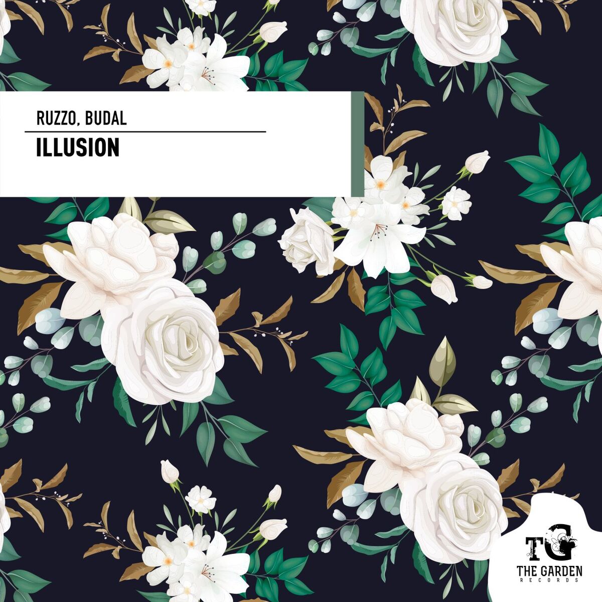 Album cover of Illusion