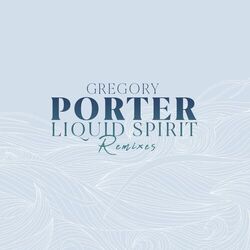 Cover of Liquid Spirit - Remixes