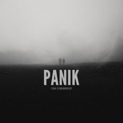 Cover of Panik