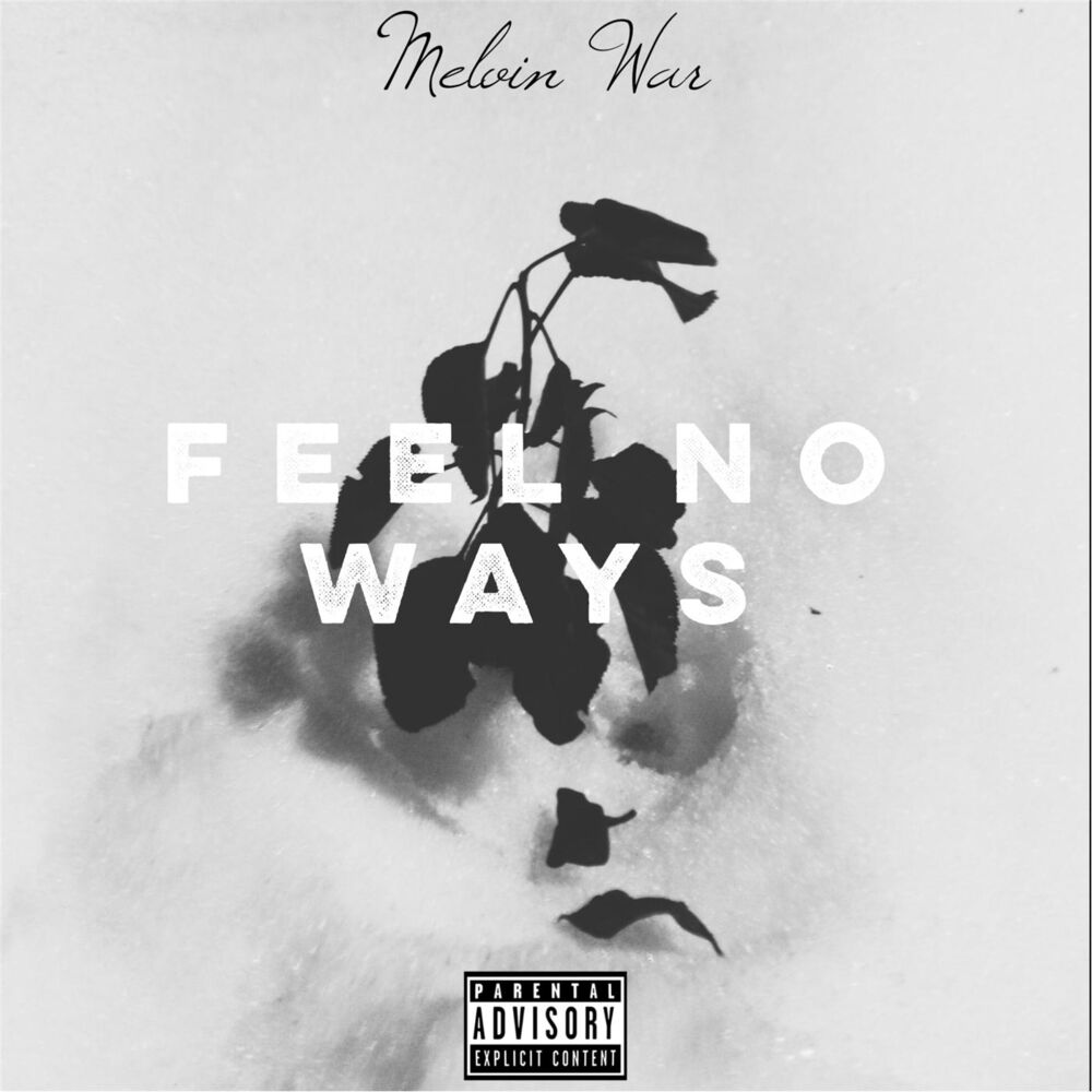 Picture of Feel No Ways