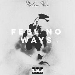 Cover of Feel No Ways