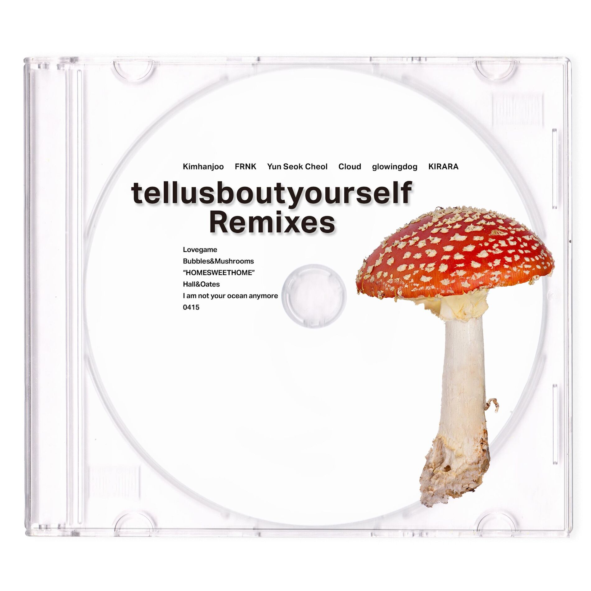Album cover of I am not your ocean anymore