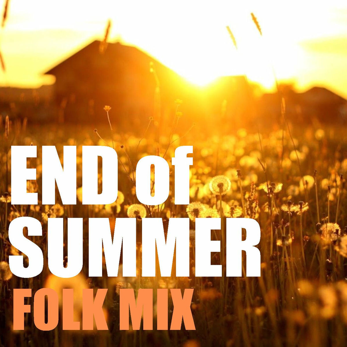 Album cover of End Of Summer Folk Mix