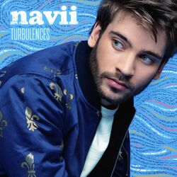 Cover of Turbulences