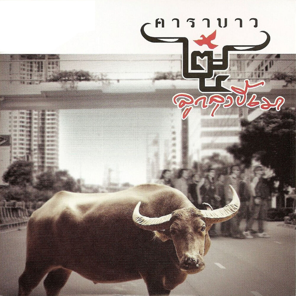 Picture of 25th Luk Lung Kee Mao