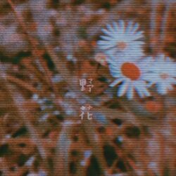 Cover of 野花