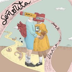 Cover of Señorita (Remix)