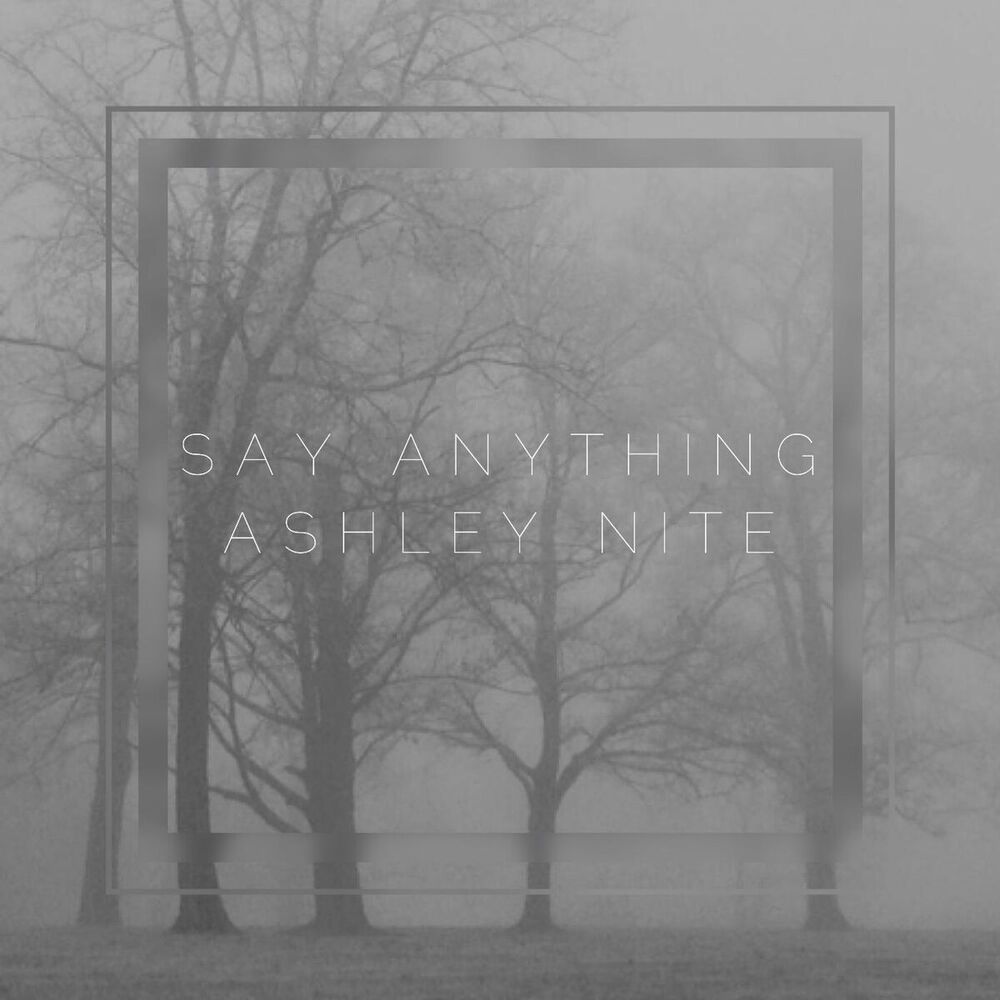 Picture of Say Anything