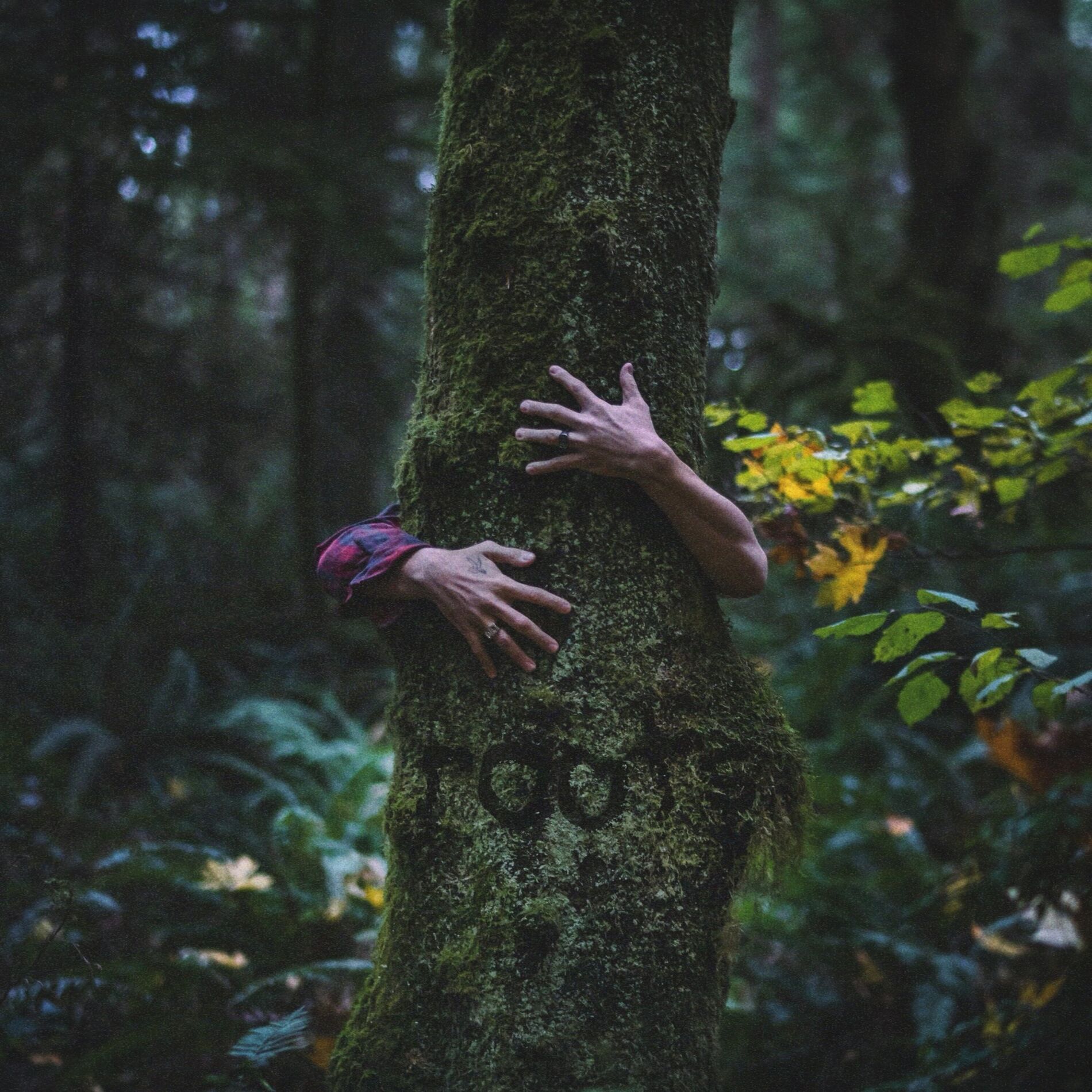 Album cover of vices
