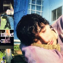 Cover of internet crush