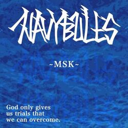 NAVY BULES