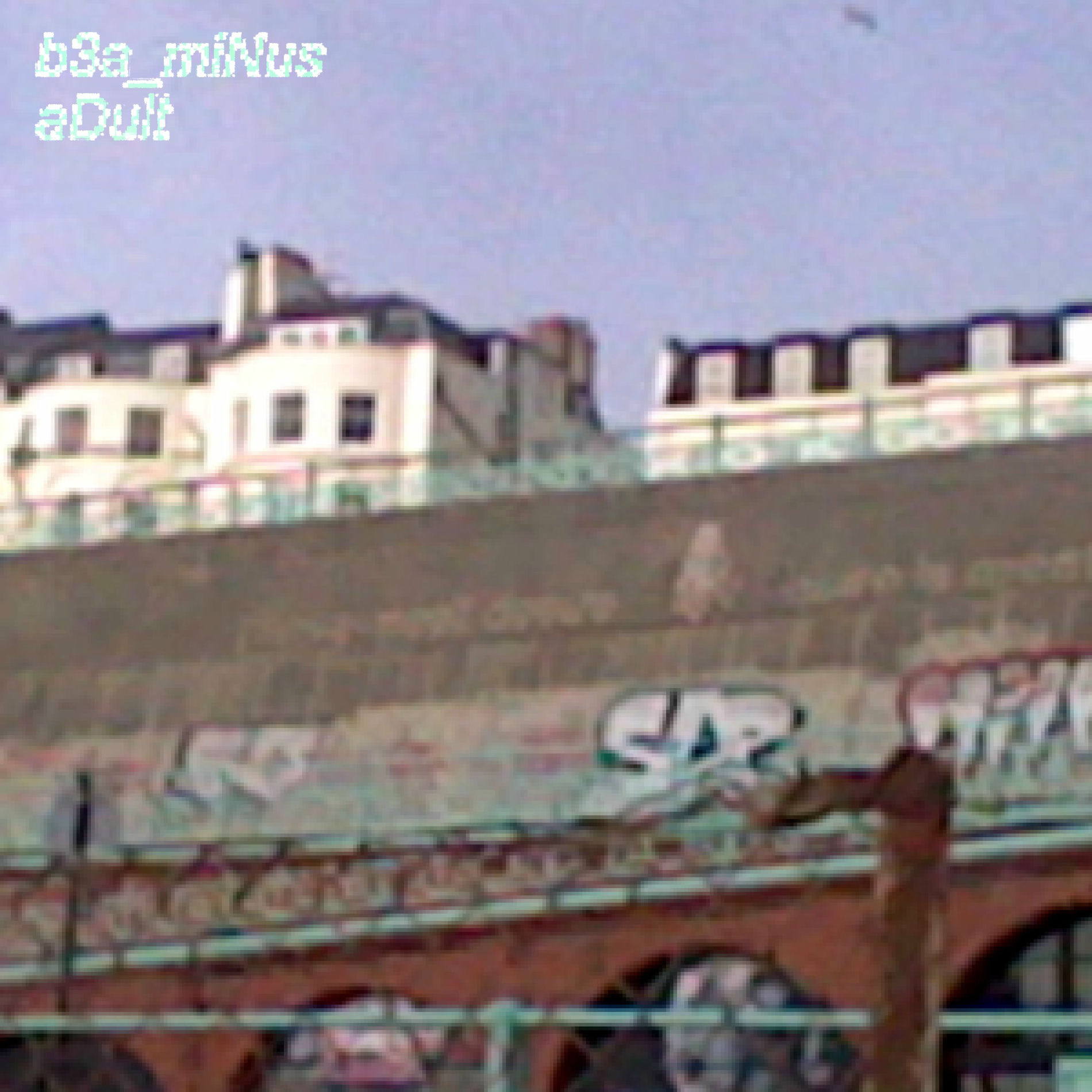 Album cover of Adult