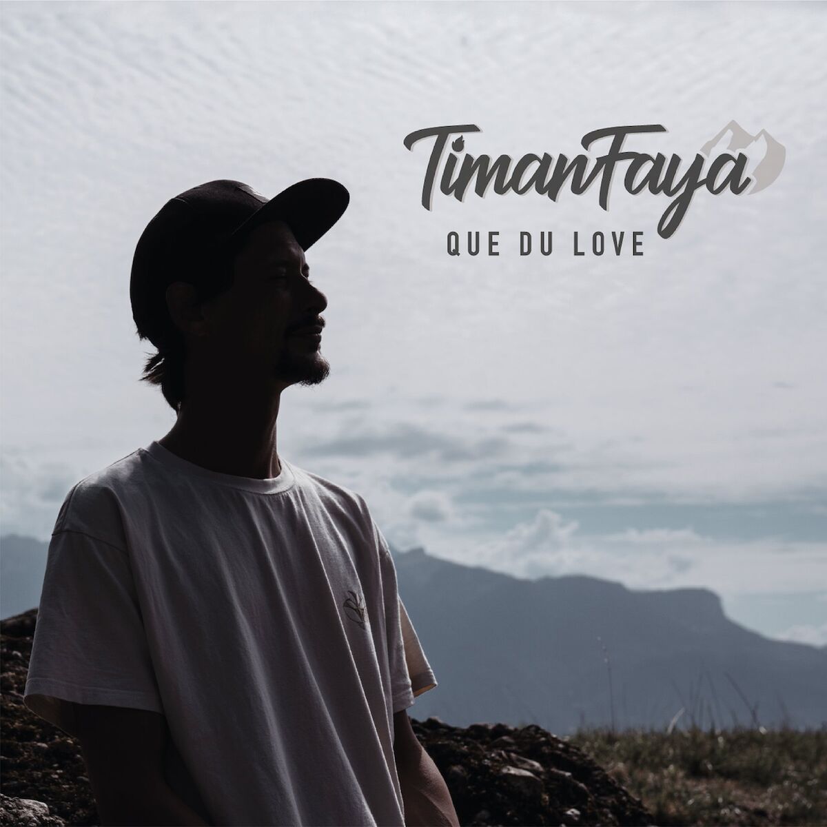 Album cover of Que du love