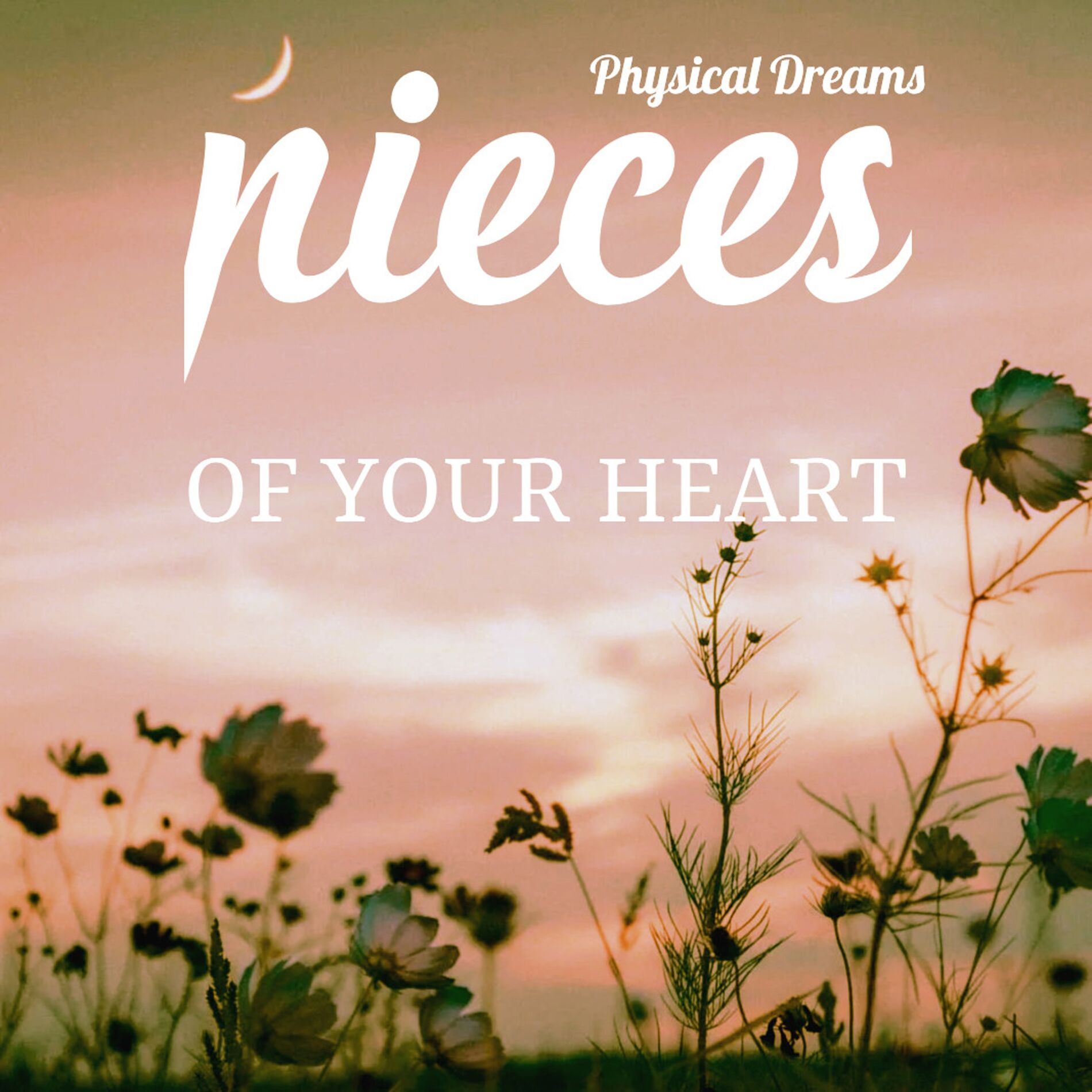 Album cover of Pieces of Your Heart