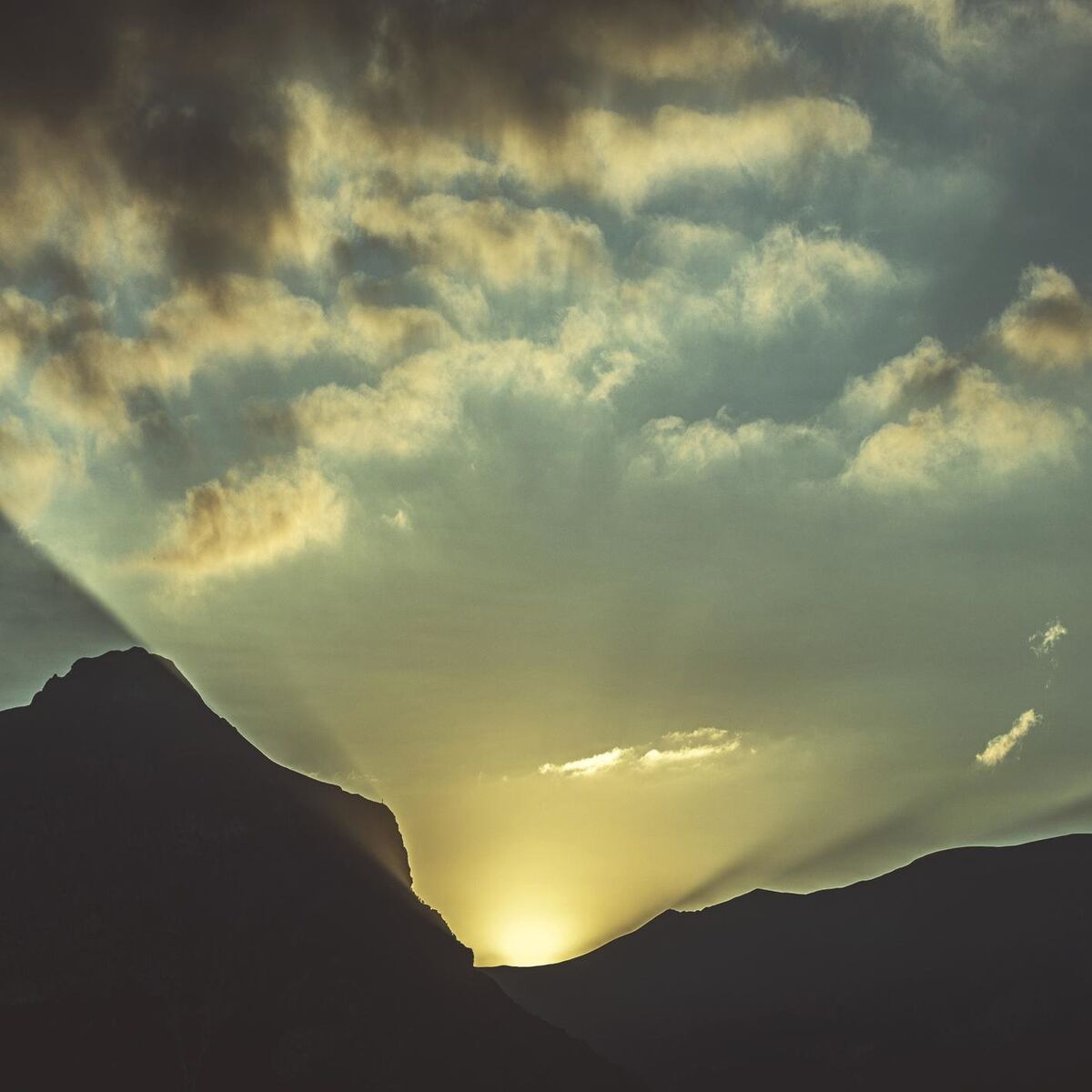 Album cover of Nocturne III (Arr. for Piano from Nocturne Op. 15 No. 3 in G Minor by Olivia Belli)