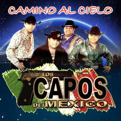 Cover of Camino al Cielo