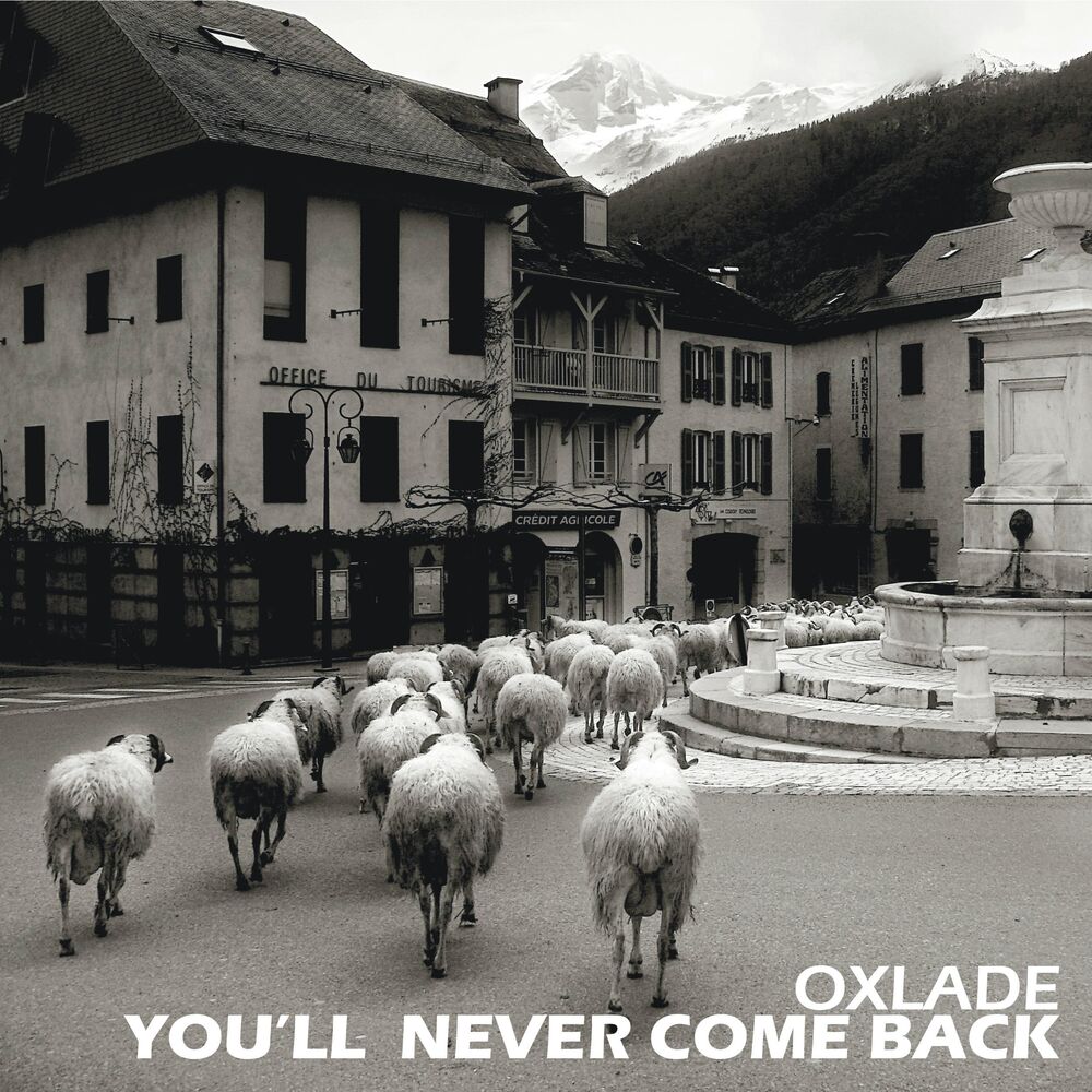 Picture of You'll Never Come Back