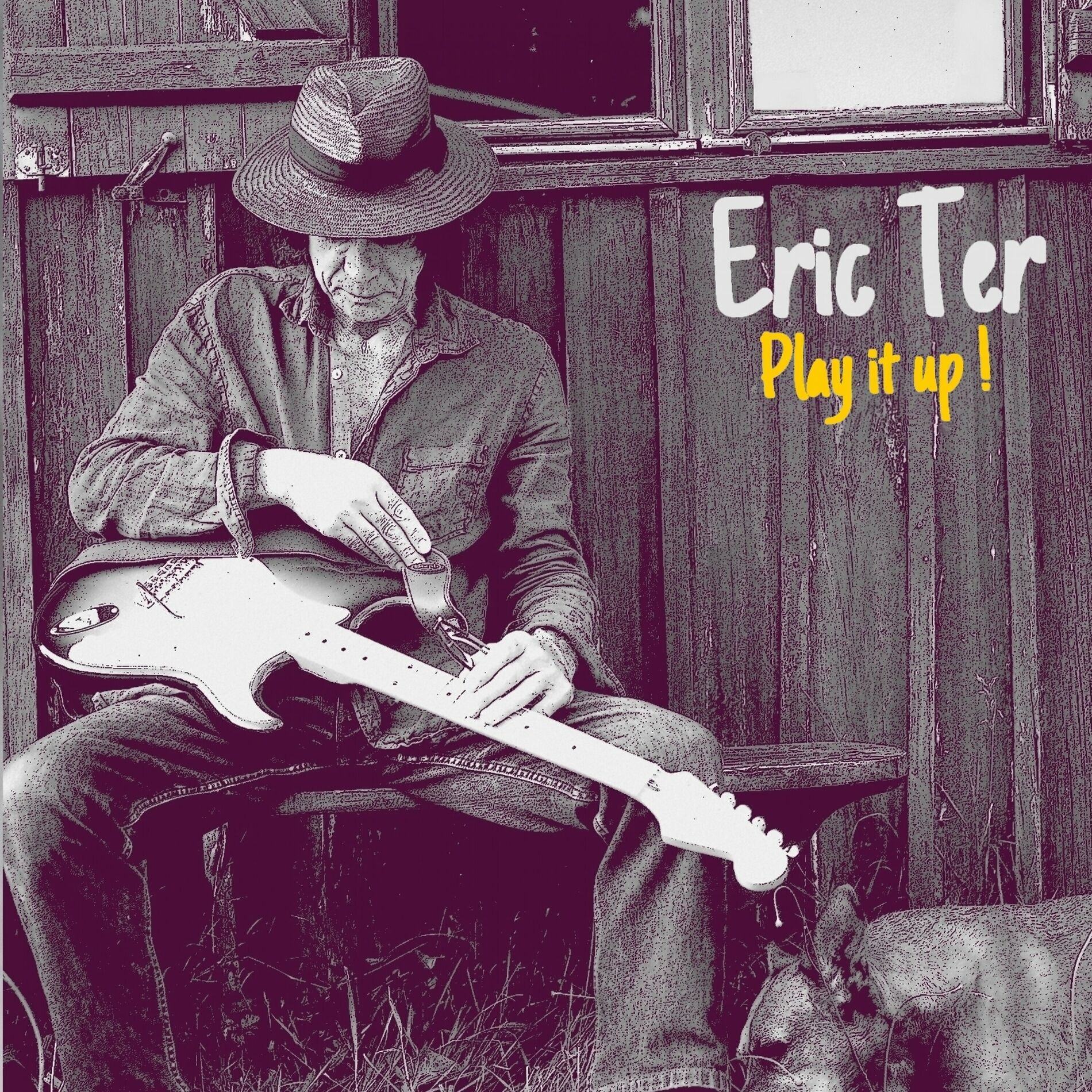 Album cover of Play It Up !
