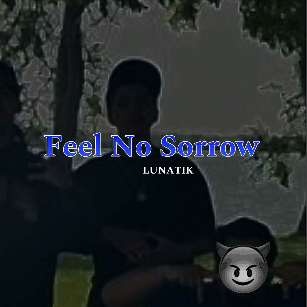 Picture of Feel No Sorrow