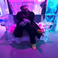 Cover of The Gentleman I Am