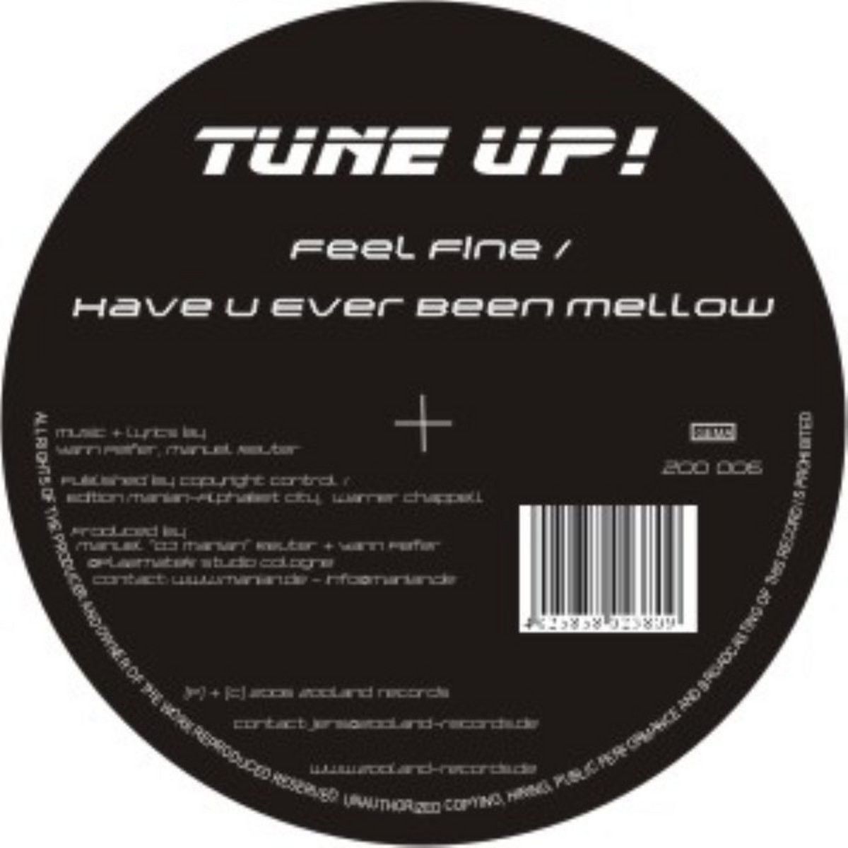 Album cover of Have U Ever Been Mellow