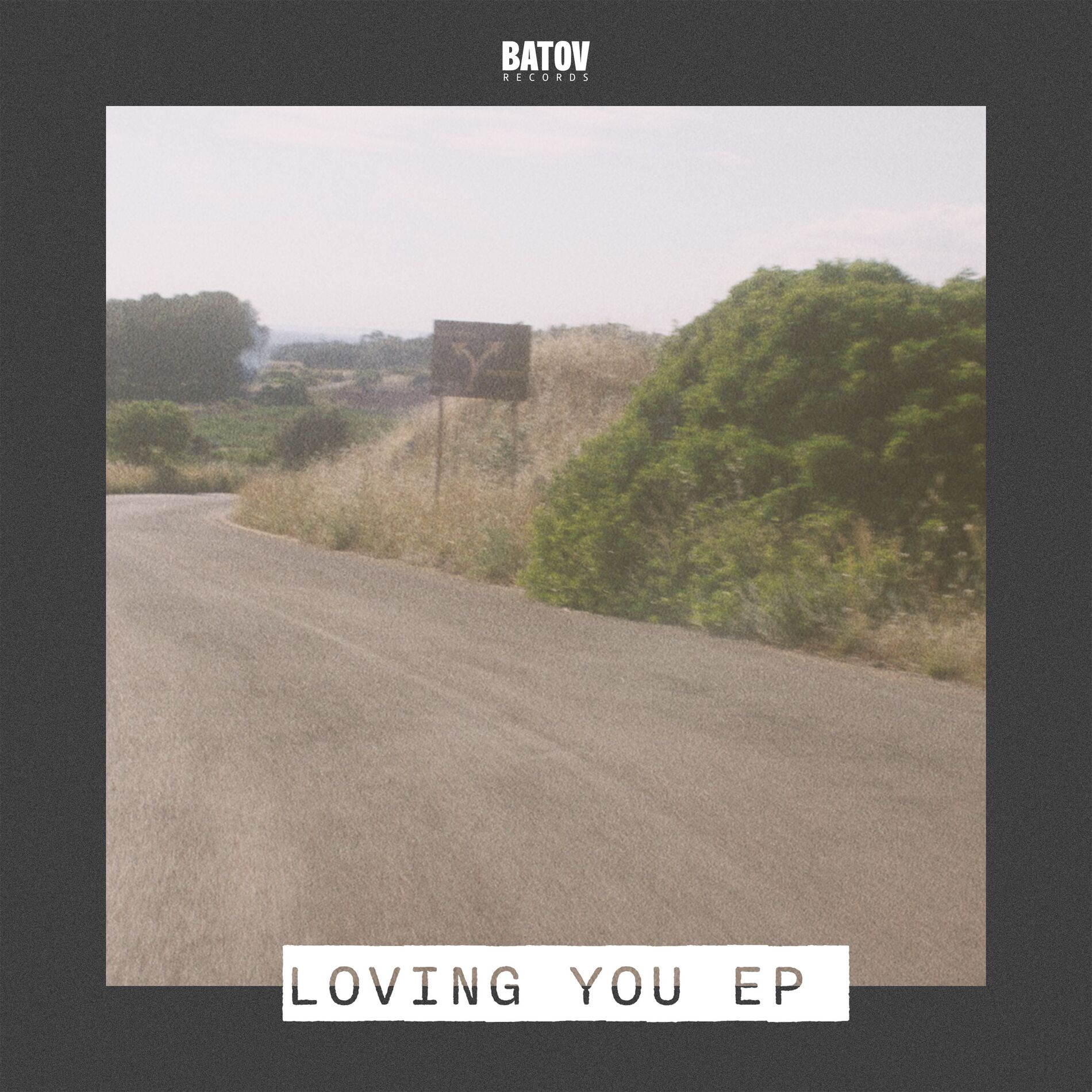 Album cover of Loving You
