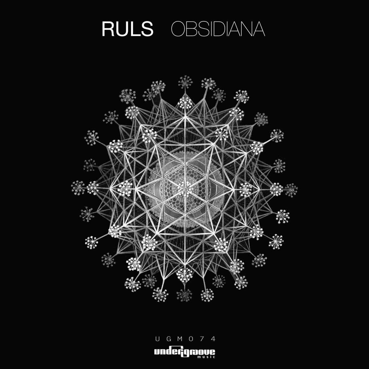 Album cover of Obsidiana (Original Mix)