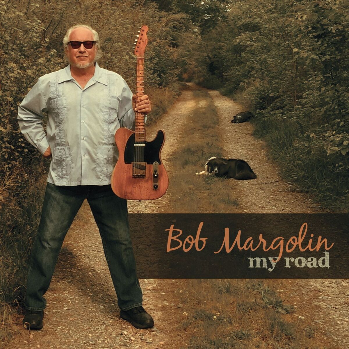Album cover of Bye Bye Baby