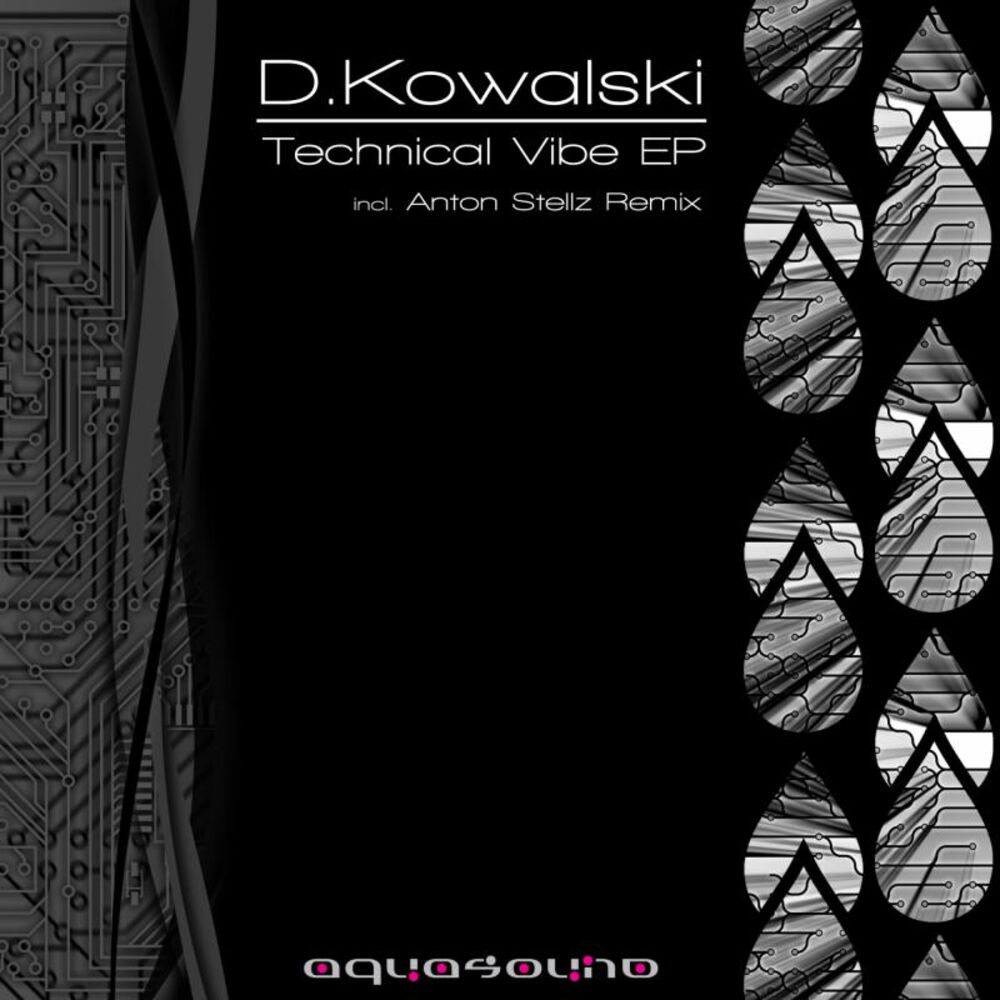 Picture of Technical Vibe