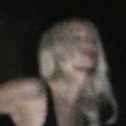 Cover of Lights Out