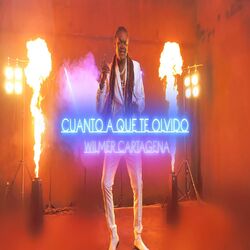 Cover of Cuanto A Que Te Olvido