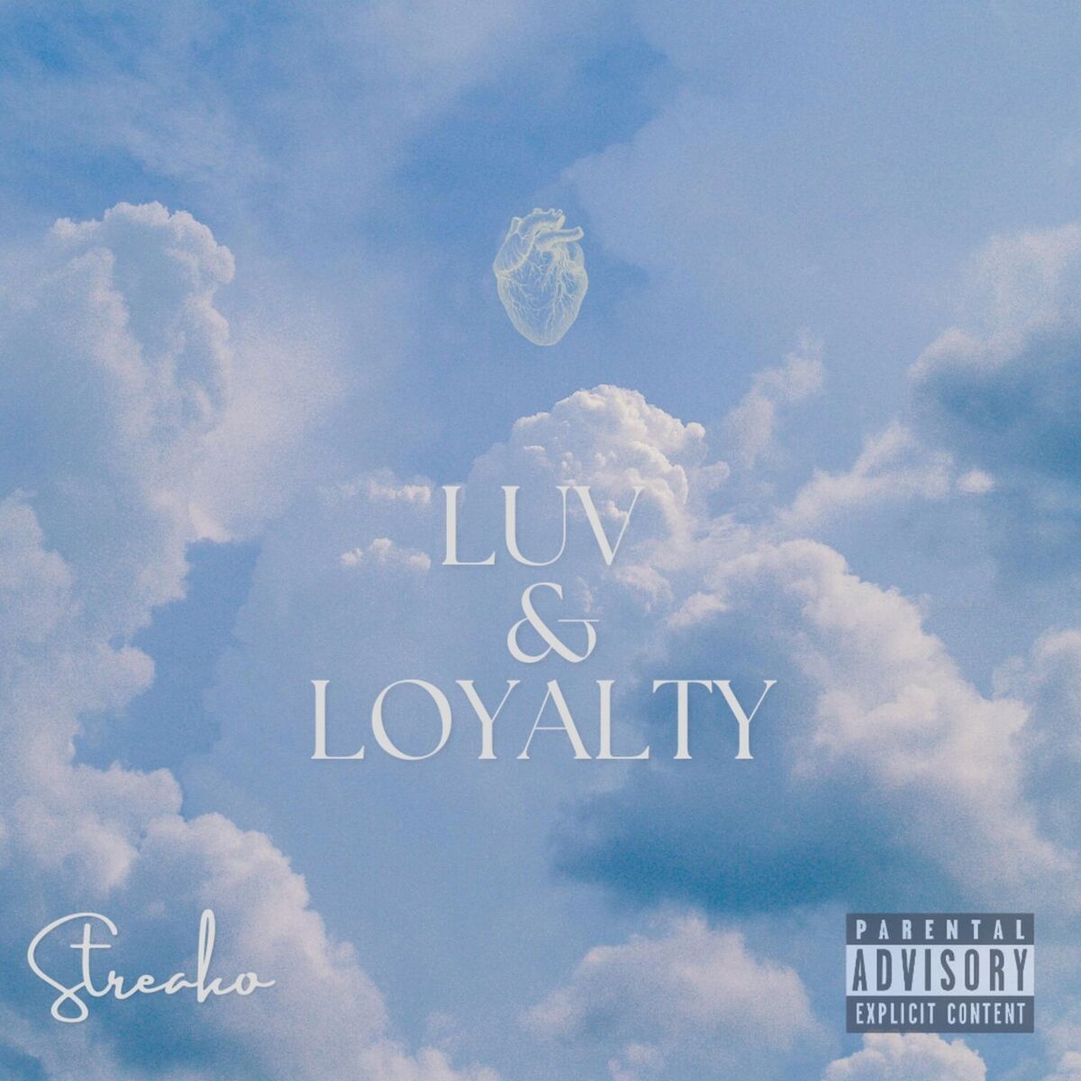 Album cover of Luv & Loyalty