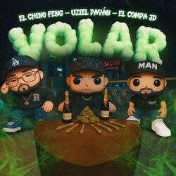 Cover of Volar