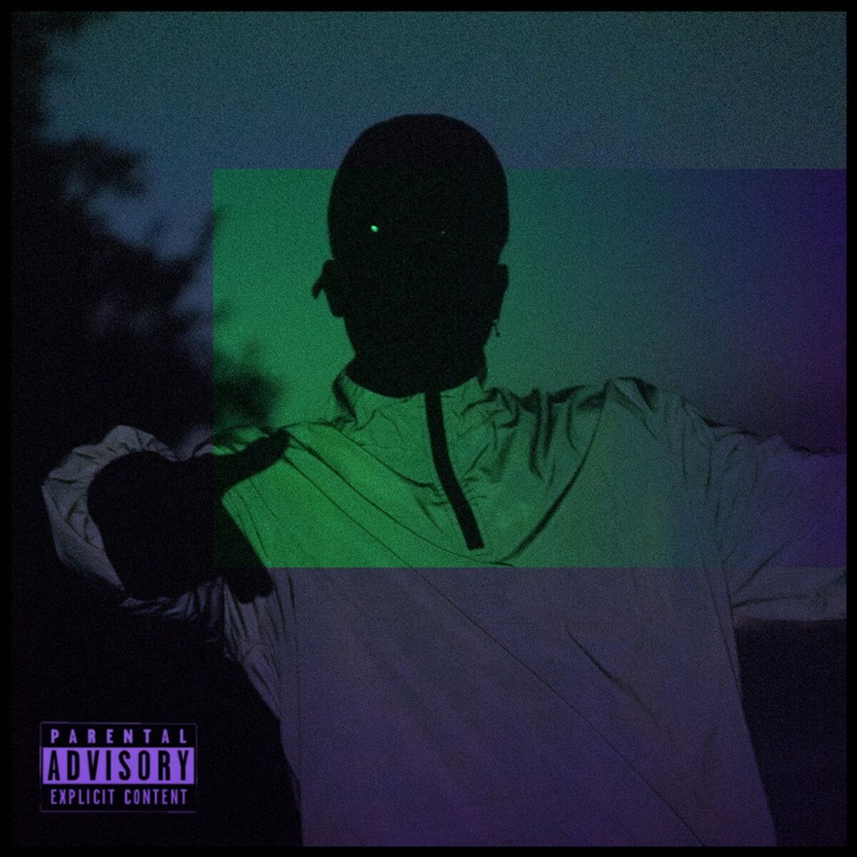 Album cover of Strictly 4 My Gvo's 2