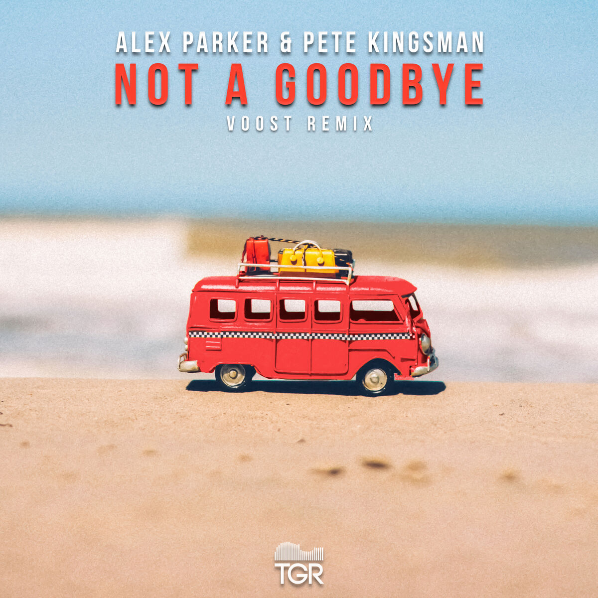 Album cover of Not a Goodbye (Voost Remix)