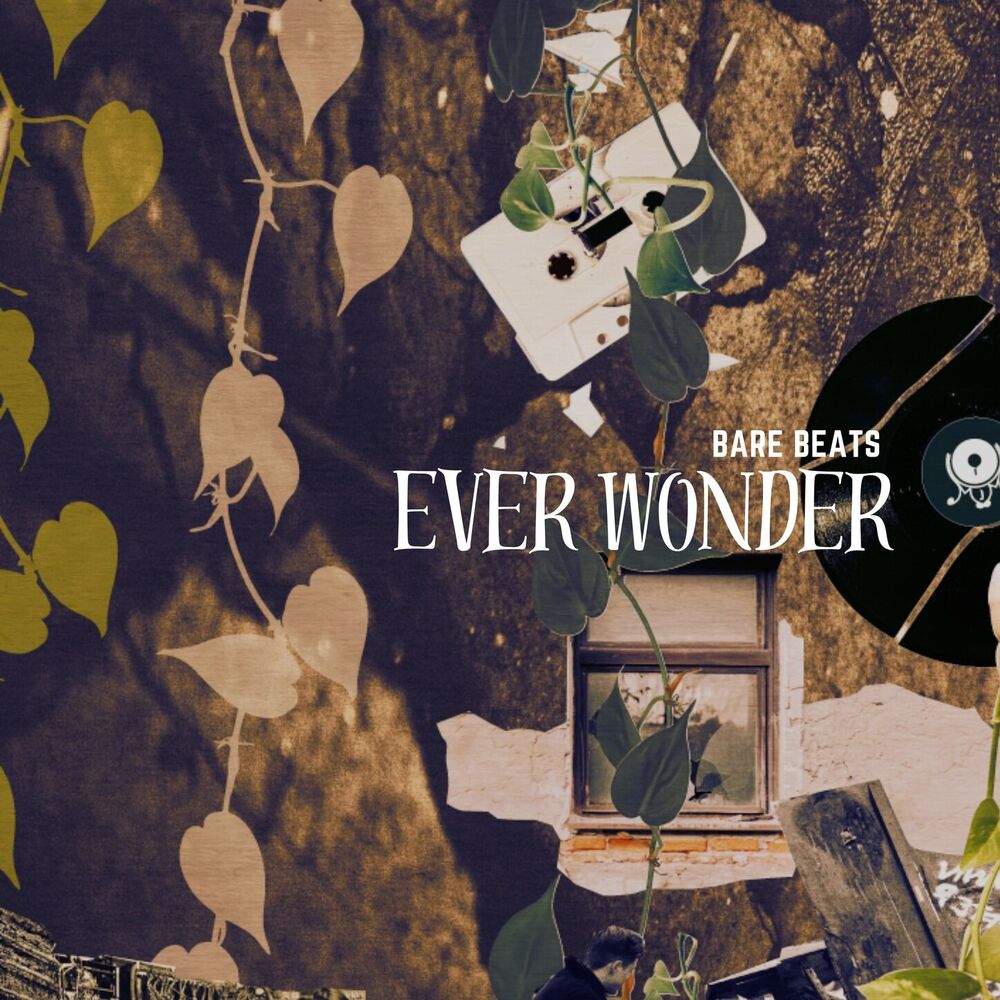 Picture of Ever Wonder