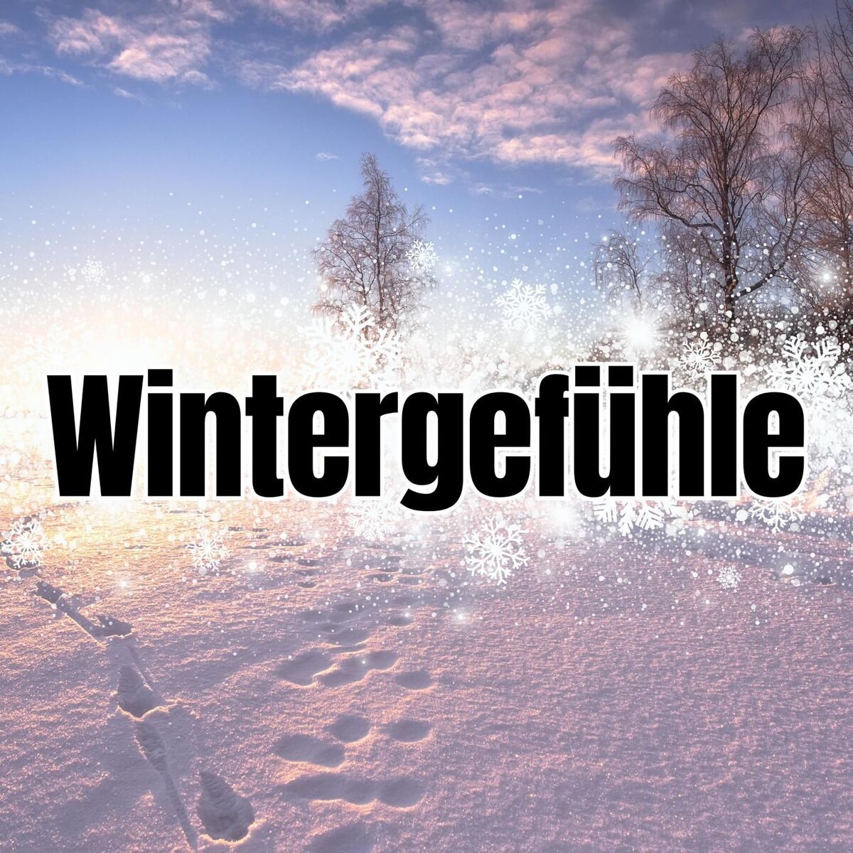 Album cover of Wintergefühle