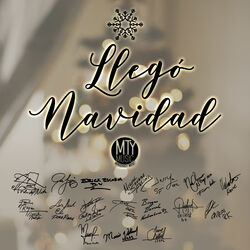 Cover of Llegó Navidad