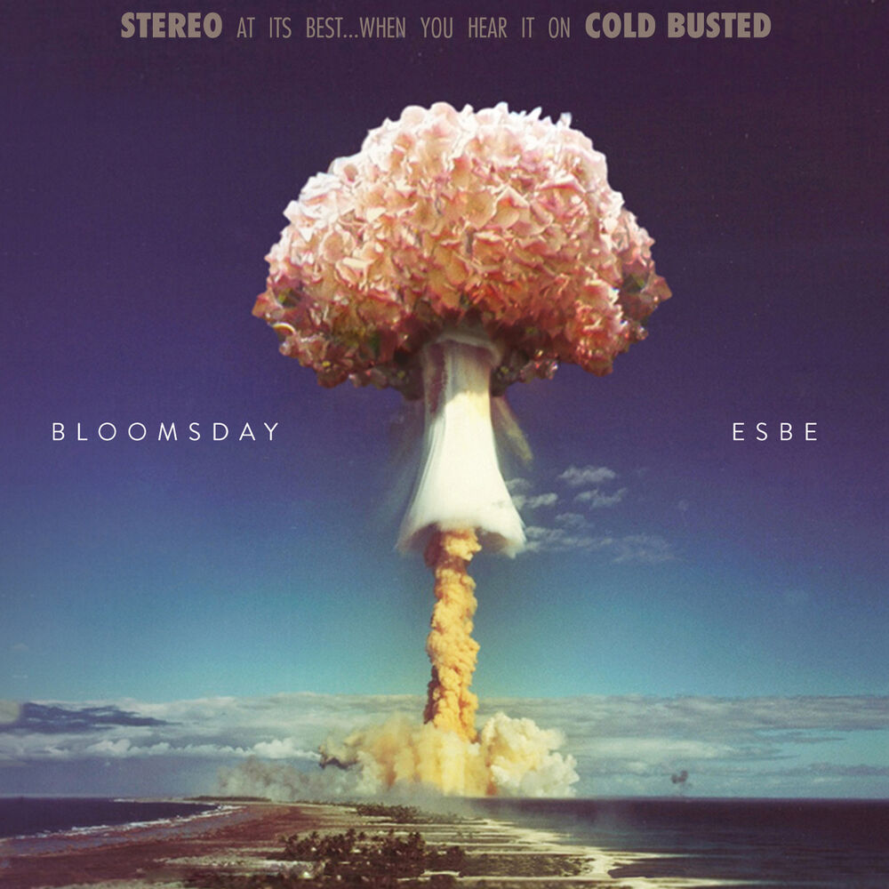 Picture of Bloomsday
