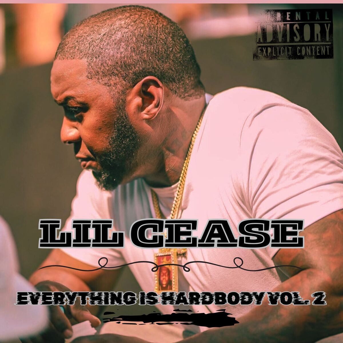 Album cover of Everything is Hardbody Vol. 2