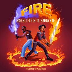 Cover of Fire