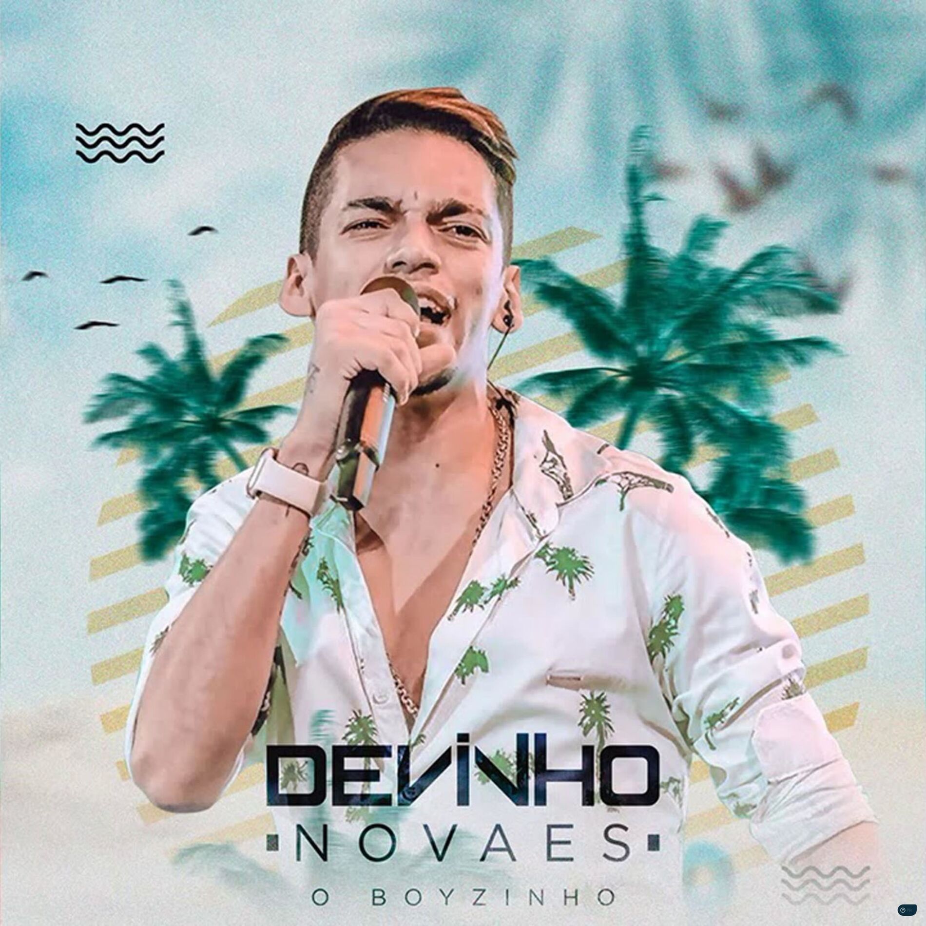 Album cover of Verão do Boyzinho