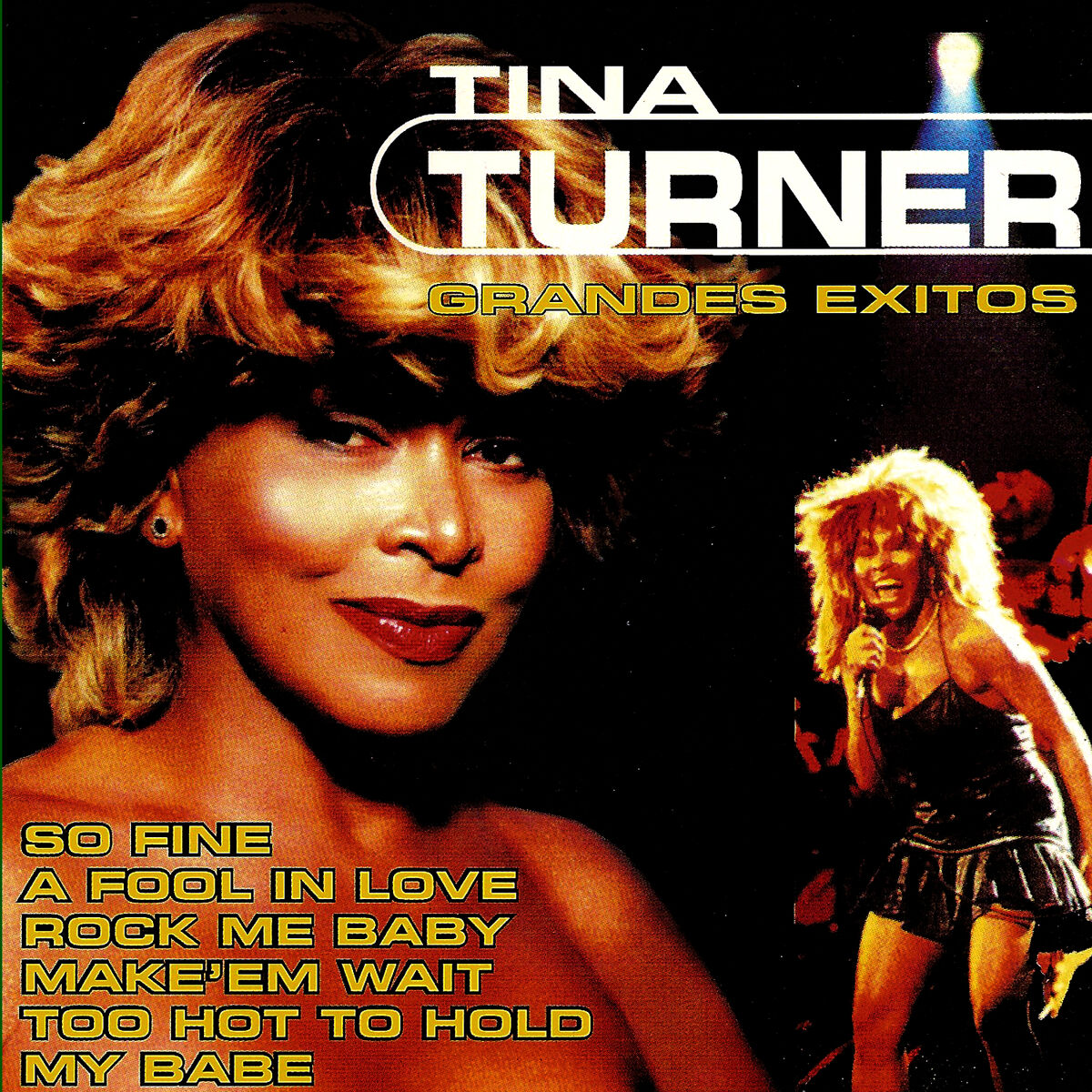 Album cover of Tina Turner Greatest Hits