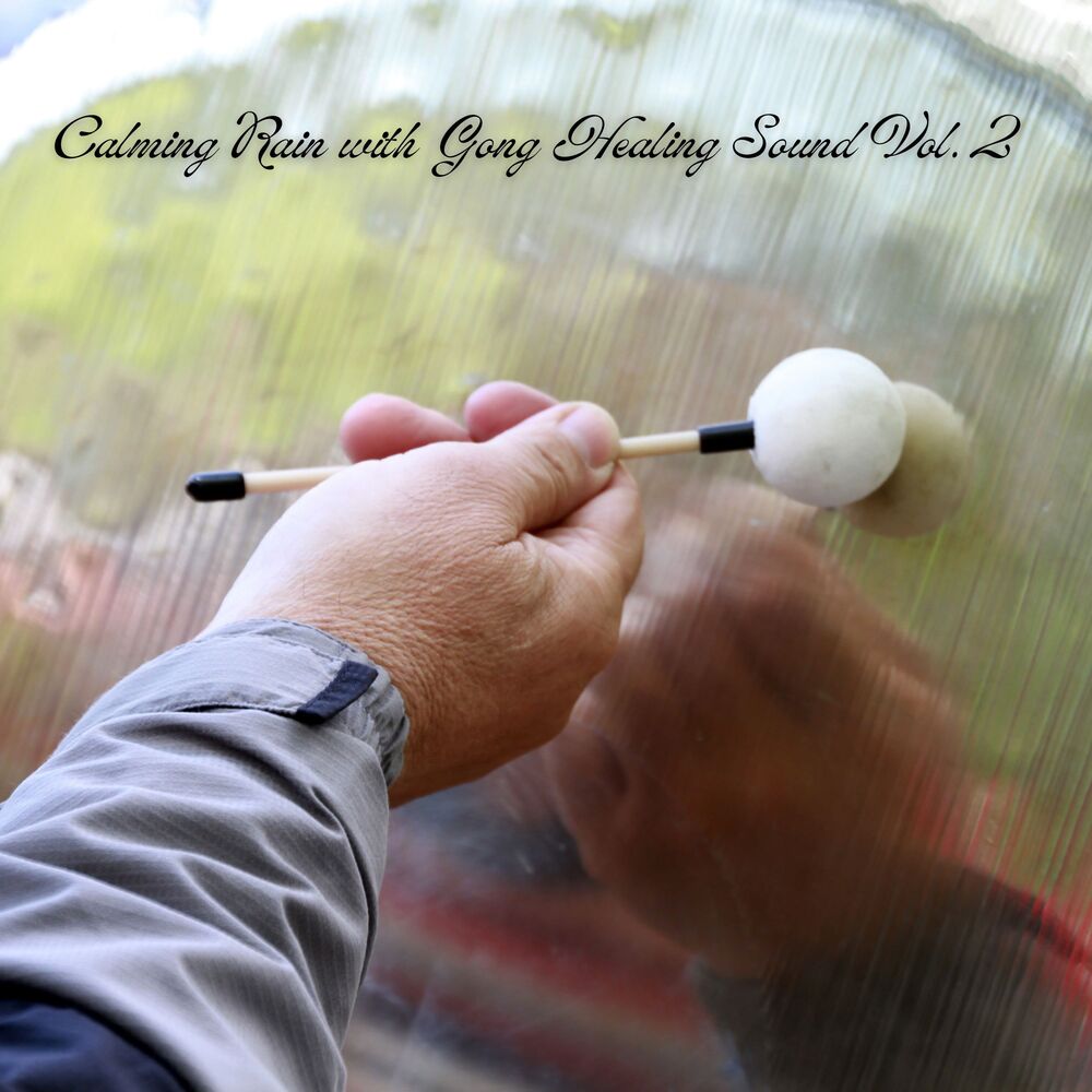 Picture of Calming Rain with Gong Healing Sound Vol. 2