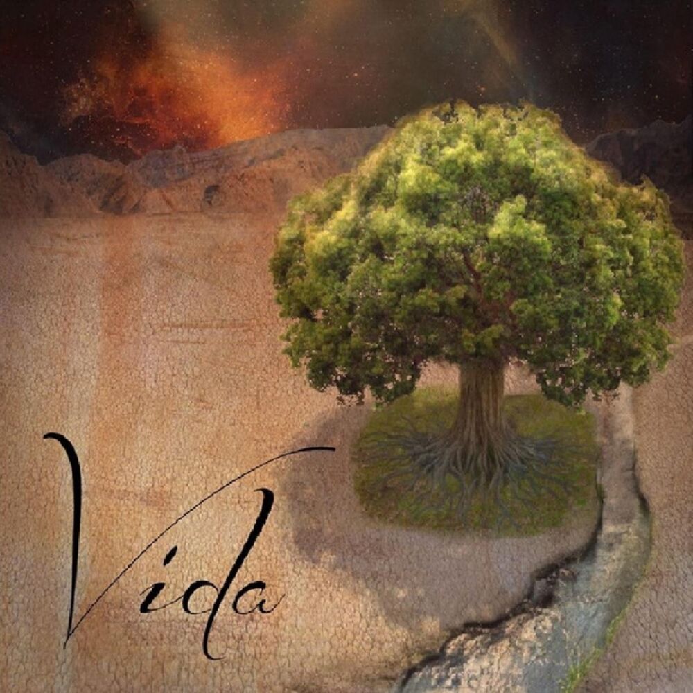 Picture of Vida