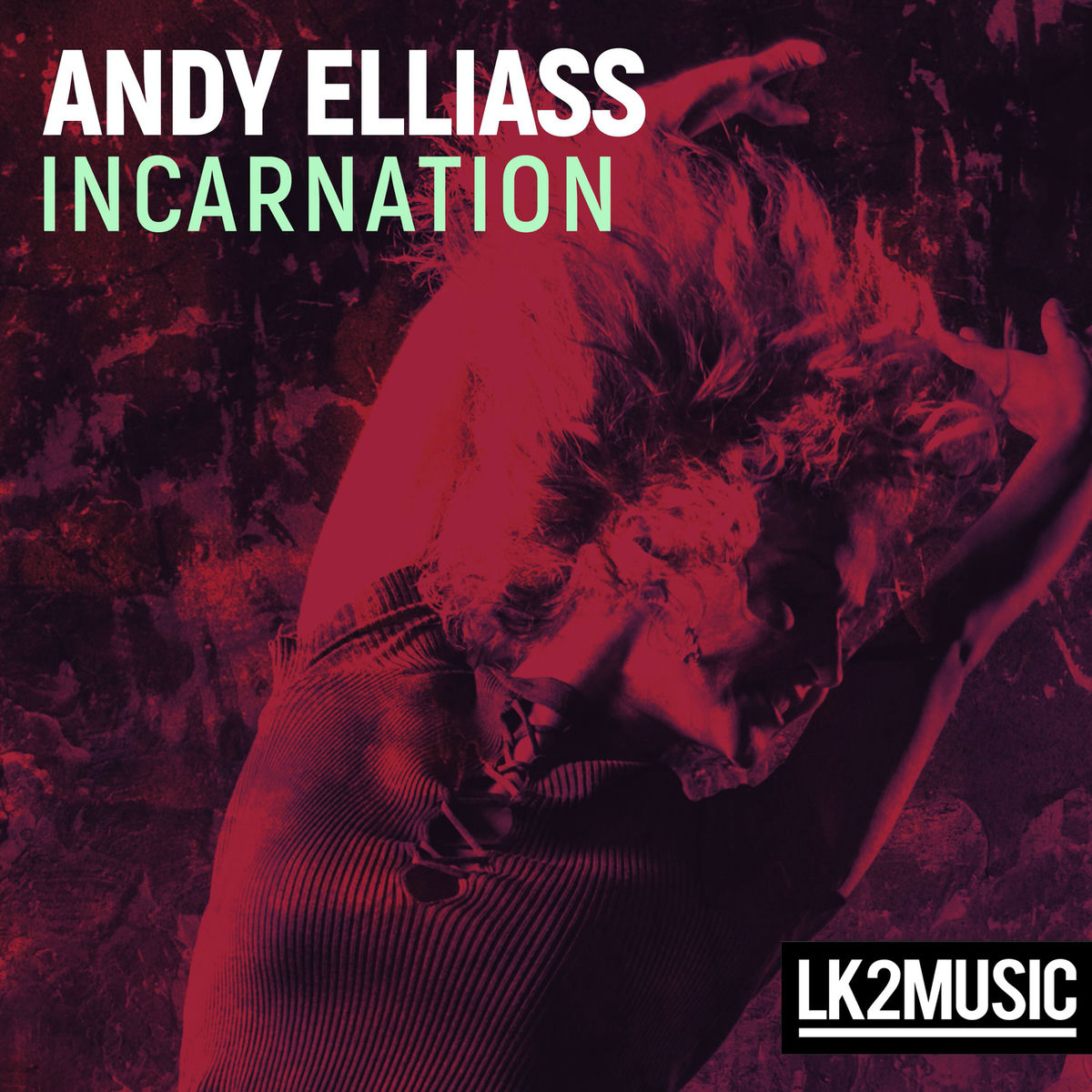 Album cover of Incarnation