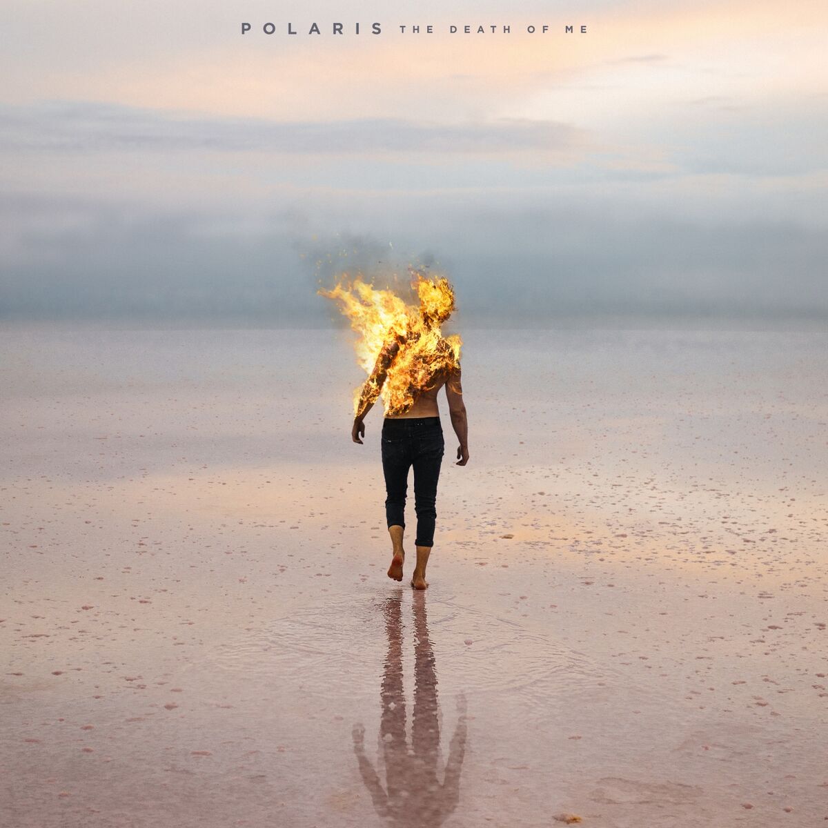 Album cover of Masochist