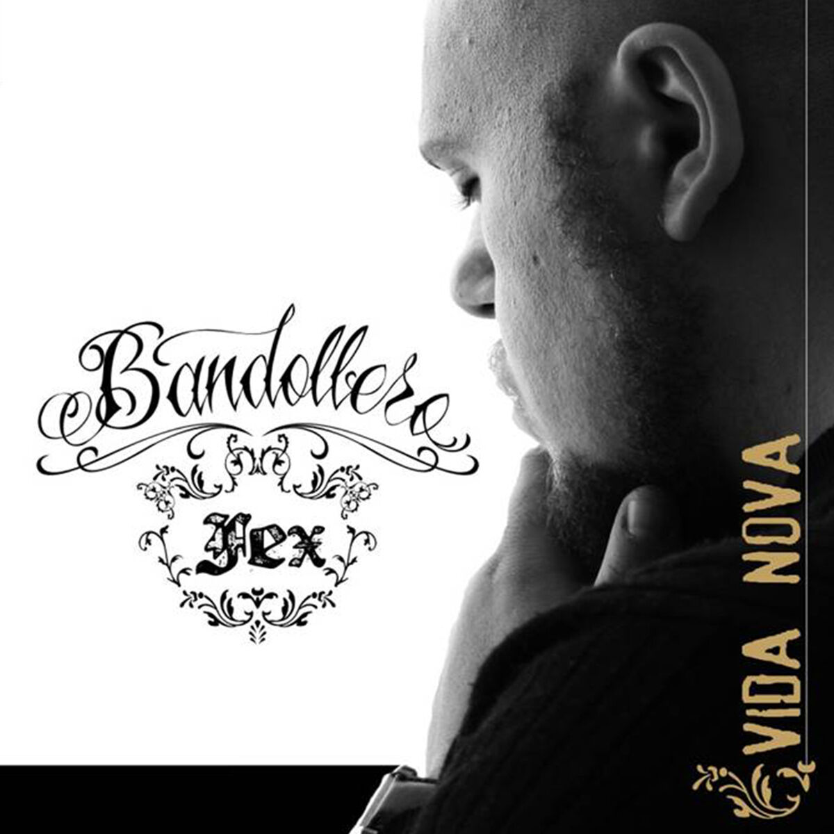 Album cover of Vida Nova