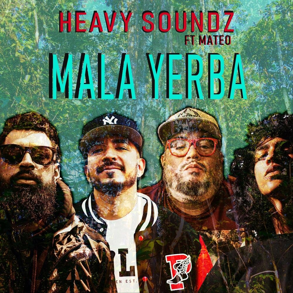 Picture of Mala Yerba