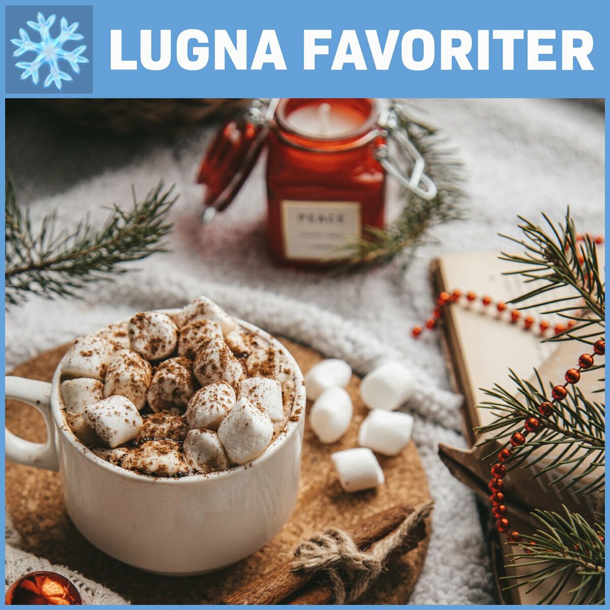 Album cover of LUGNA FAVORITER